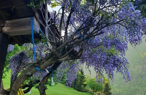 Ponte Caffaro House | AL CASTAGNO