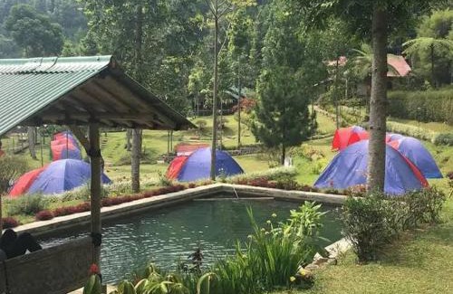 Java Other | ALAM RAYA CAMP