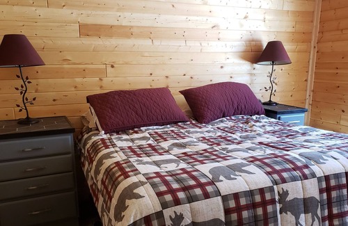 Willow Ski Chalet | Alaskan Adventure Chalet - fiber optic internet