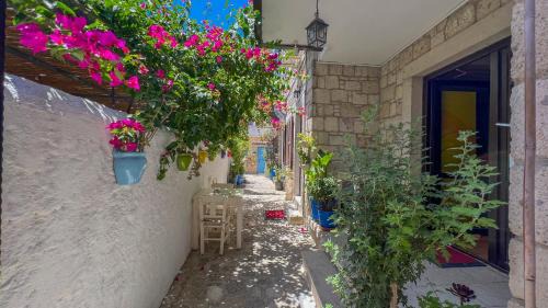 Hacımemis Bed & Breakfast | Alayaz Hotel