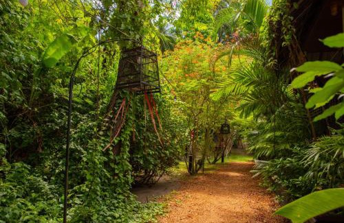 Hin Hong Resort | Alcove Bungalow