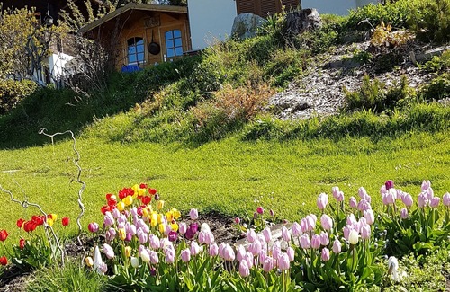 Bangerten Villa | Alegria Beatenberg