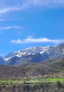 Albania House | Aleko Guesthouse