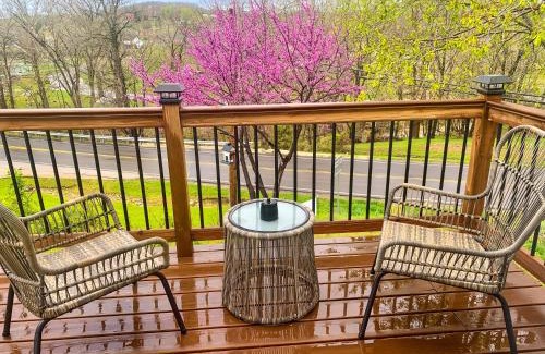 Hermann House | Alemania Haus - Cozy Rambler on Market Street!