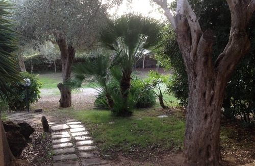 Alghero Apartment | Alghero apartment, in the countryside, "Mirto"