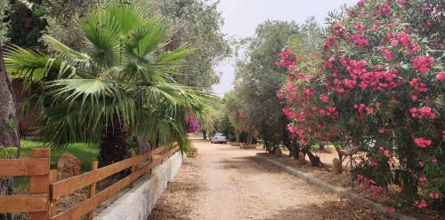 Alghero Apartment | Alghero Guest House - Appartamenti in Seminterrato in Villetta di Campagna, Piscina fuori terra a 4 minuti di auto dalla città