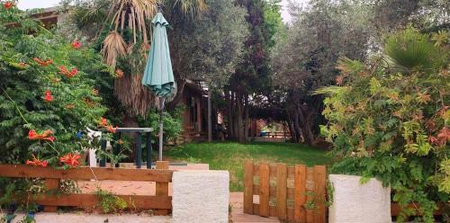 Alghero Apartment | Alghero Guest House - Appartamenti in Seminterrato in Villetta di Campagna, Piscina fuori terra a 4 minuti di auto dalla città