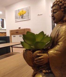 Rybnik Apartment | Alicante Apartament - 48m² ✓