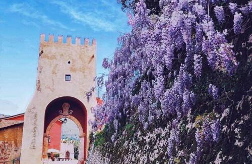 Abbazia di Fossanova Apartment | Alloggio La Torre Fossanova