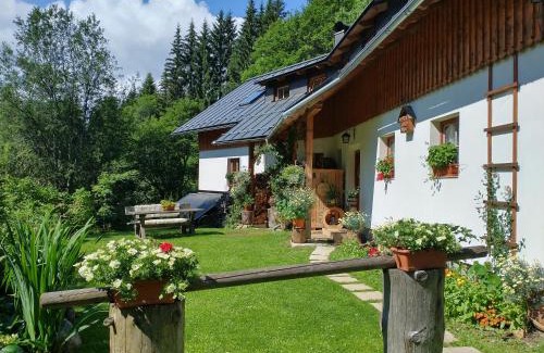 Zelezna Ruda Apartment | Alm-House HOLLMANN