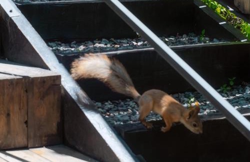 Medeu District Apartment | Alma house - Grey