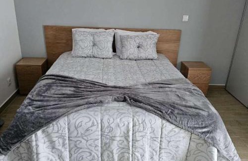 Amarante Apartment | Alojamentos pinheiros