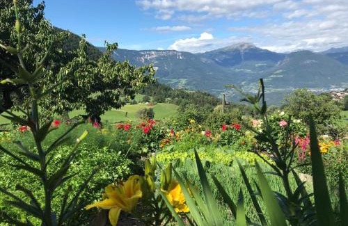 Salonetto Apartment | Alpenrose