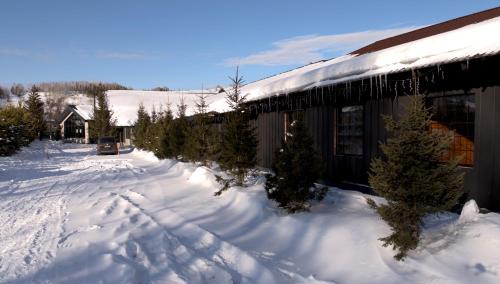 Kazakhstan Cabin | Altai Mountains Resort