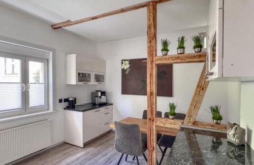 Zella-Mehlis Apartment | Altes Forsthaus
