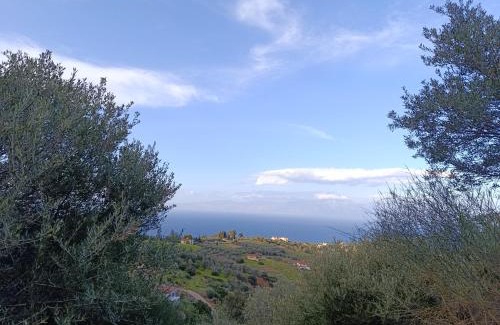 Xylokastro-Evrostina Apartment | Altheas Maisonettes