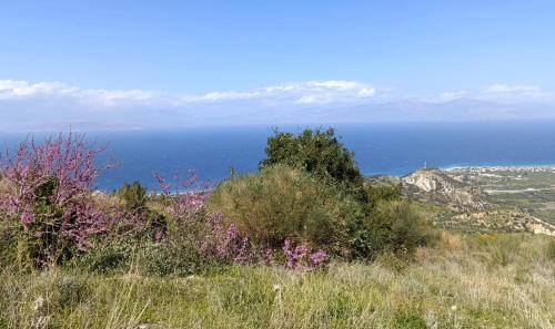 Xylokastro-Evrostina Apartment | Altheas Maisonettes