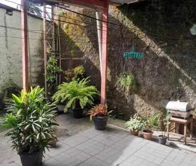 Tapana House | Alugo casa para COP 30