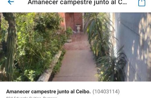 Almirante Brown House | Amanecer Campestre bajo el Ceibo