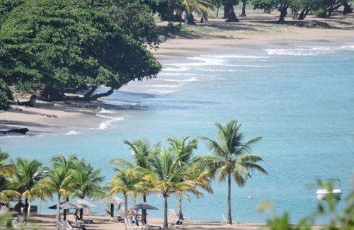 Charlotte House | Amazing Beach View Apt for Groups