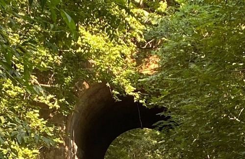 Elkton Cabin | Amazing deck, nearby river access, close to Shenandoah Natl Park