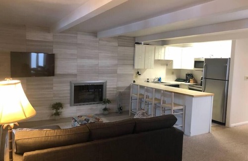 Aspen Apartment | Amazing setting - 2 blocks to Aspen Gondola, 1 BR, Amazing Core location - 1 BR