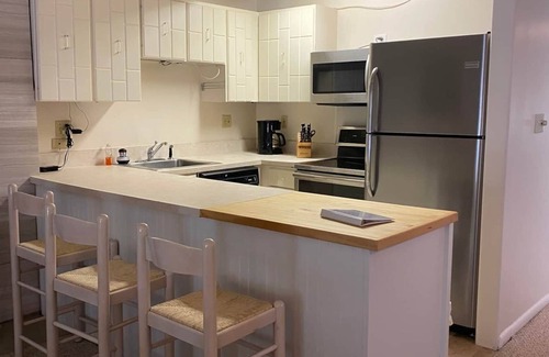 Aspen Apartment | Amazing setting - 2 blocks to Aspen Gondola, 1 BR, Amazing Core location - 1 BR