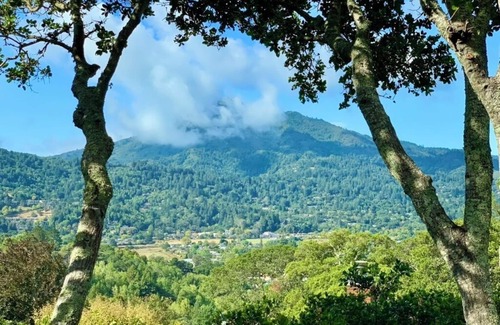 Greenbrae House | Amazing View Home in Marin - Close to SF and Napa
