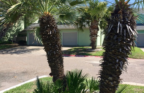 Corpus Christi Condo | AMAZING VIEWS! - Charming Waterfront Condo -North Padre Island w/Private Dock