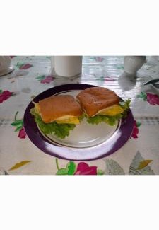 Indiana Hotel | Amazon tucuxi