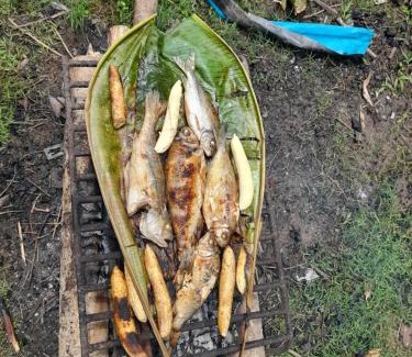 Indiana Hotel | Amazon tucuxi