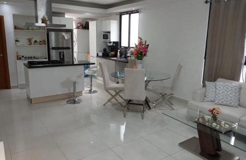Santo Domingo Apartment | AMG Suites Apartment