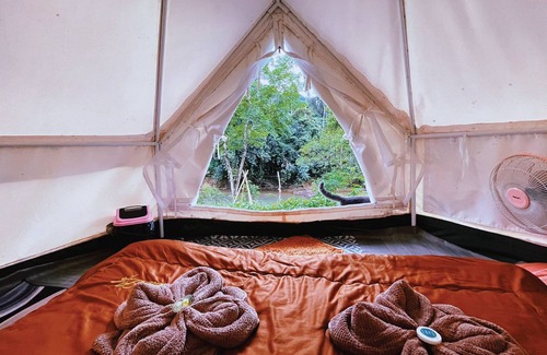 Khlong Sok Resort | Amornkeeree Khao Sok Camping