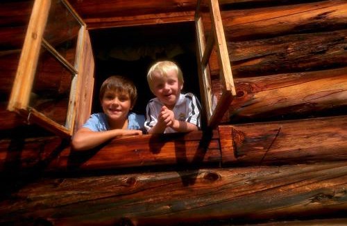 Forstau Ski Chalet | Ampferkaralm Hütte