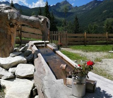 Forstau Ski Chalet | Ampferkaralm Hütte