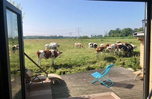 Amsterdam North House | Amsterdam, Tiny House at special location