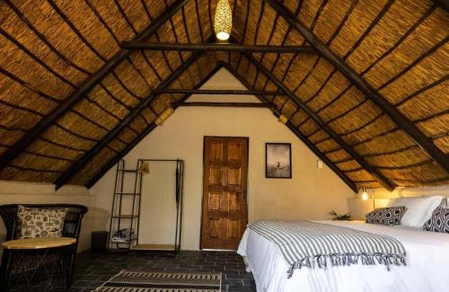 Hammanskraal Cabin | Amy's Camp at the Kevin Richardson Foundation