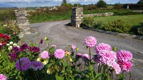 Ballydehob Bed & Breakfast | An Carraig Ard B&B