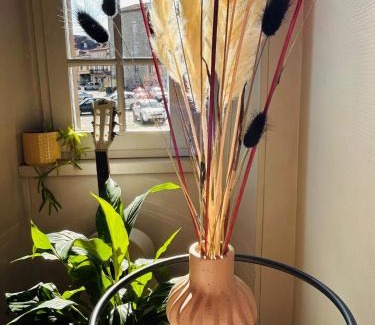 Villefranche-de-Rouergue Apartment | Anastasia