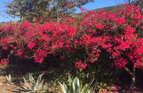 Rekhale Villa | Ancient Dammuso renovated in Rekhale