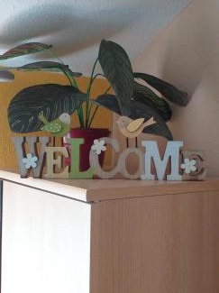 Gyula Apartment | Andi Apartman