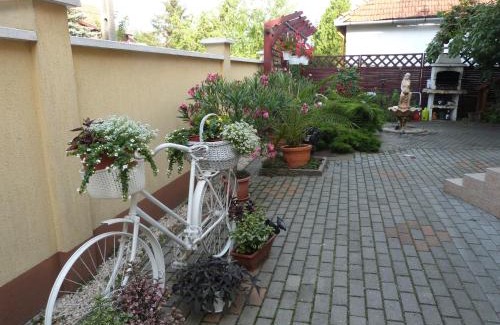 Gyula Apartment | Andi Apartman