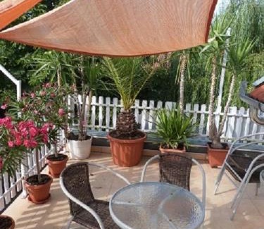 Gyula Apartment | Andi Apartman