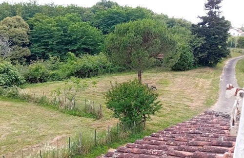 Laurede House | André's garden