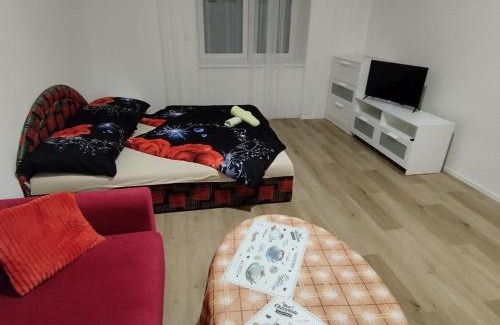 Brno Apartment | Angel