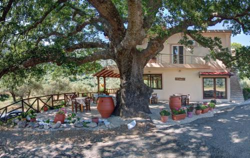 Milia Bed & Breakfast | Antartisa B&B