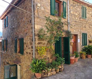 Seggiano Apartment | antica abitazione con vista montagna Casa Norma