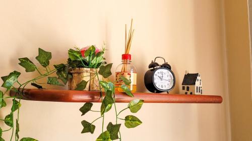 Santa Teresa Apartment | Ap aconchegante na Lapa