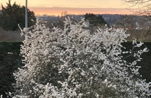 Deauville City Centre Apartment | APART. 2PCS FULLY RENOVATED 2 STEPS FROM THE SEA, ALL AMENITIES ON FOOT