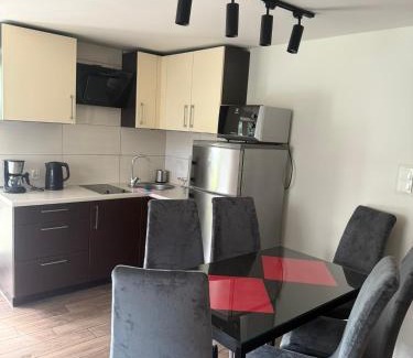 Miedzybrodzie Zywieckie Apartment | Apartament przy plaży
